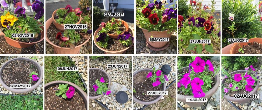 Blog-3-Photo-for-Web